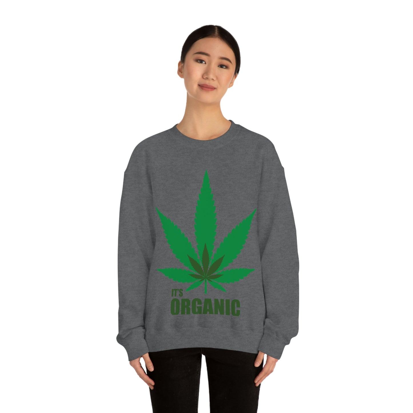 C'est un sweat-shirt à feuilles vertes bio Allons à une fête !