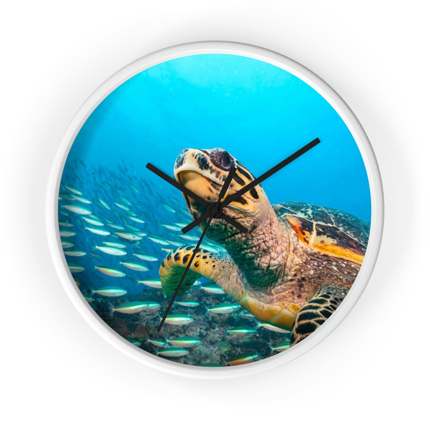 Horloge murale Tortue dans l'océan Couleurs étonnantes ! J'adore !