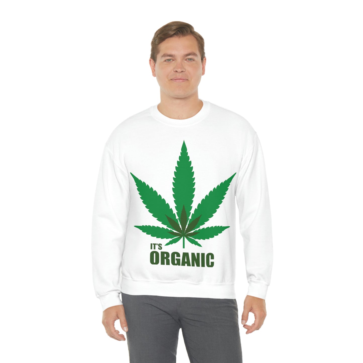 C'est un sweat-shirt à feuilles vertes bio Allons à une fête !