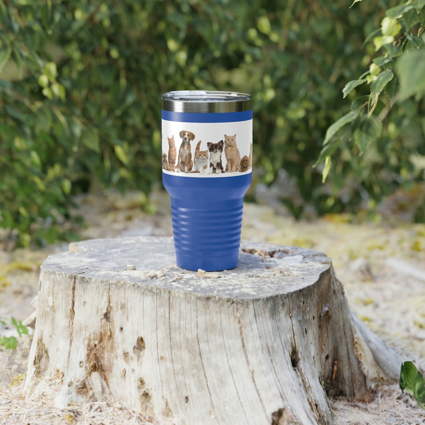Gobelet à col rond pour chats et chiens, 30 oz, 5 couleurs, pour les voyages, le travail, la détente, les achats, le jardinage, la randonnée