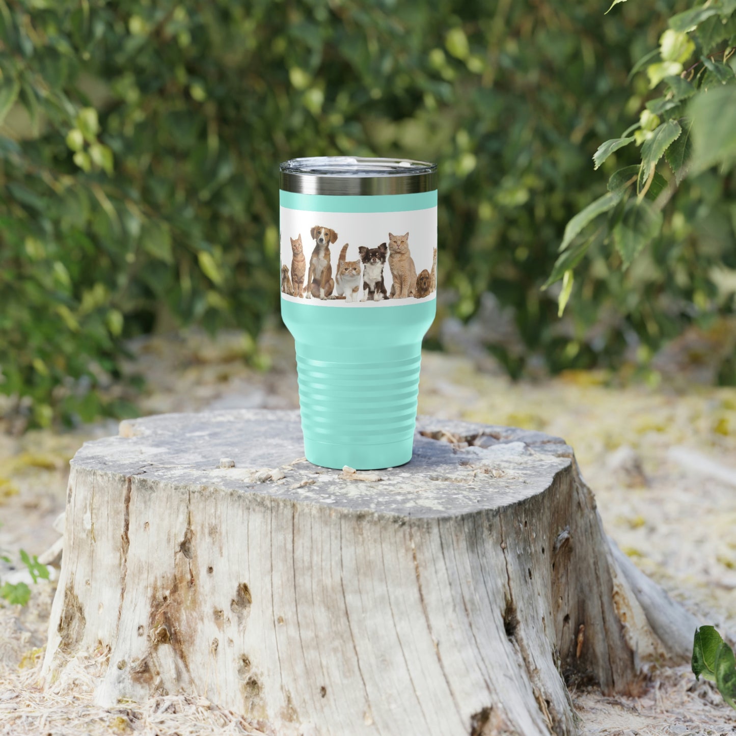 Gobelet à col rond pour chats et chiens, 30 oz, 5 couleurs, pour les voyages, le travail, la détente, les achats, le jardinage, la randonnée