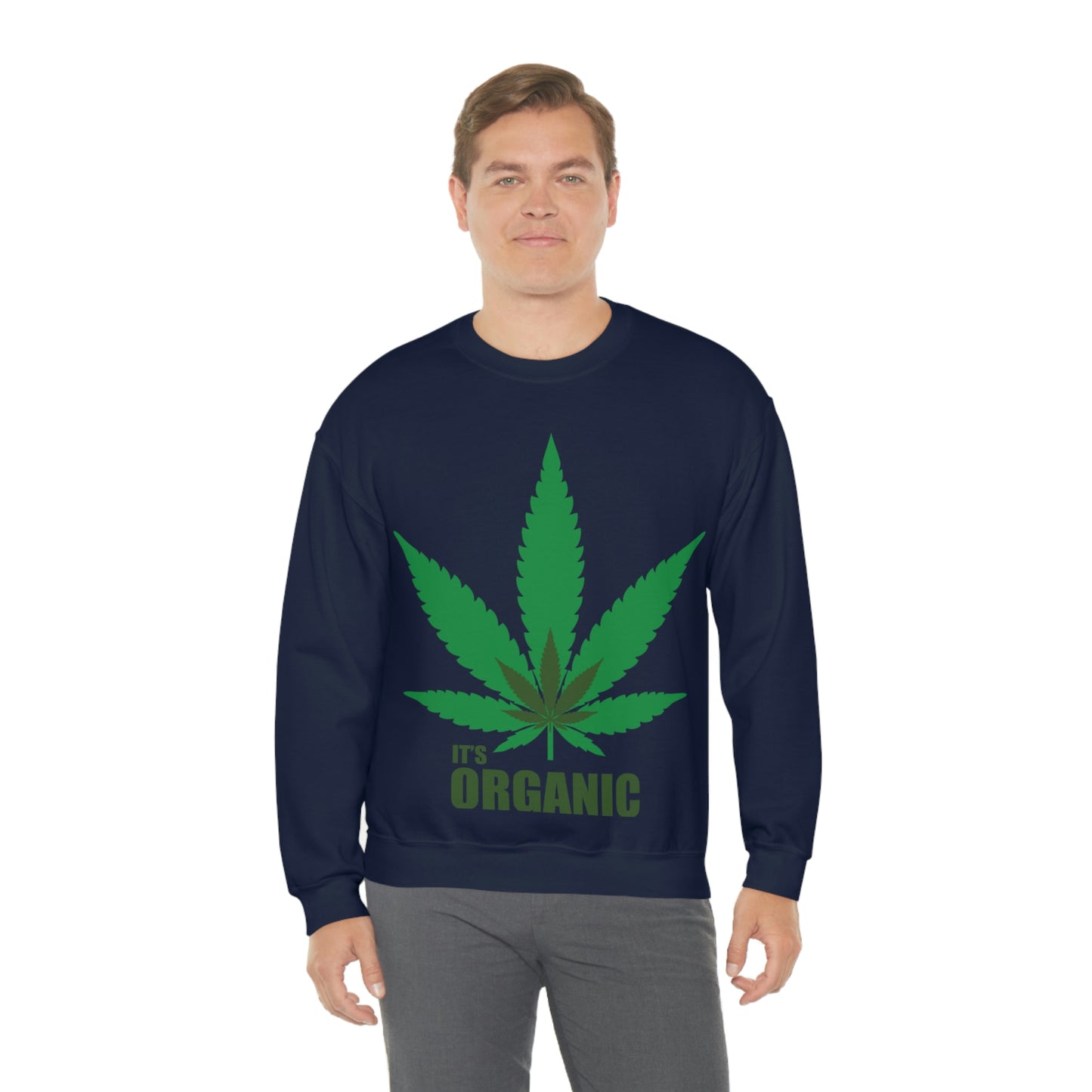 C'est un sweat-shirt à feuilles vertes bio Allons à une fête !