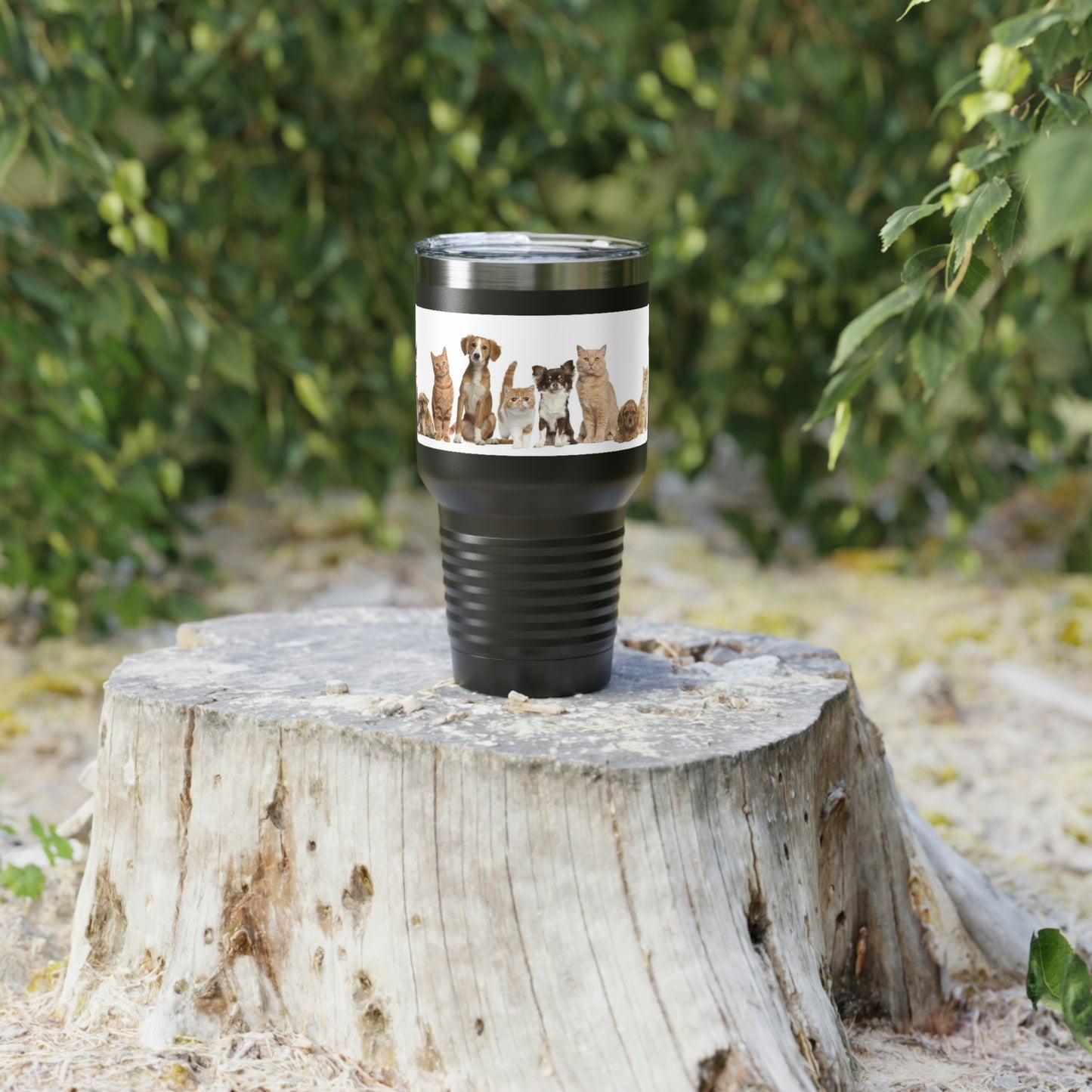 Gobelet à col rond pour chats et chiens, 30 oz, 5 couleurs, pour les voyages, le travail, la détente, les achats, le jardinage, la randonnée