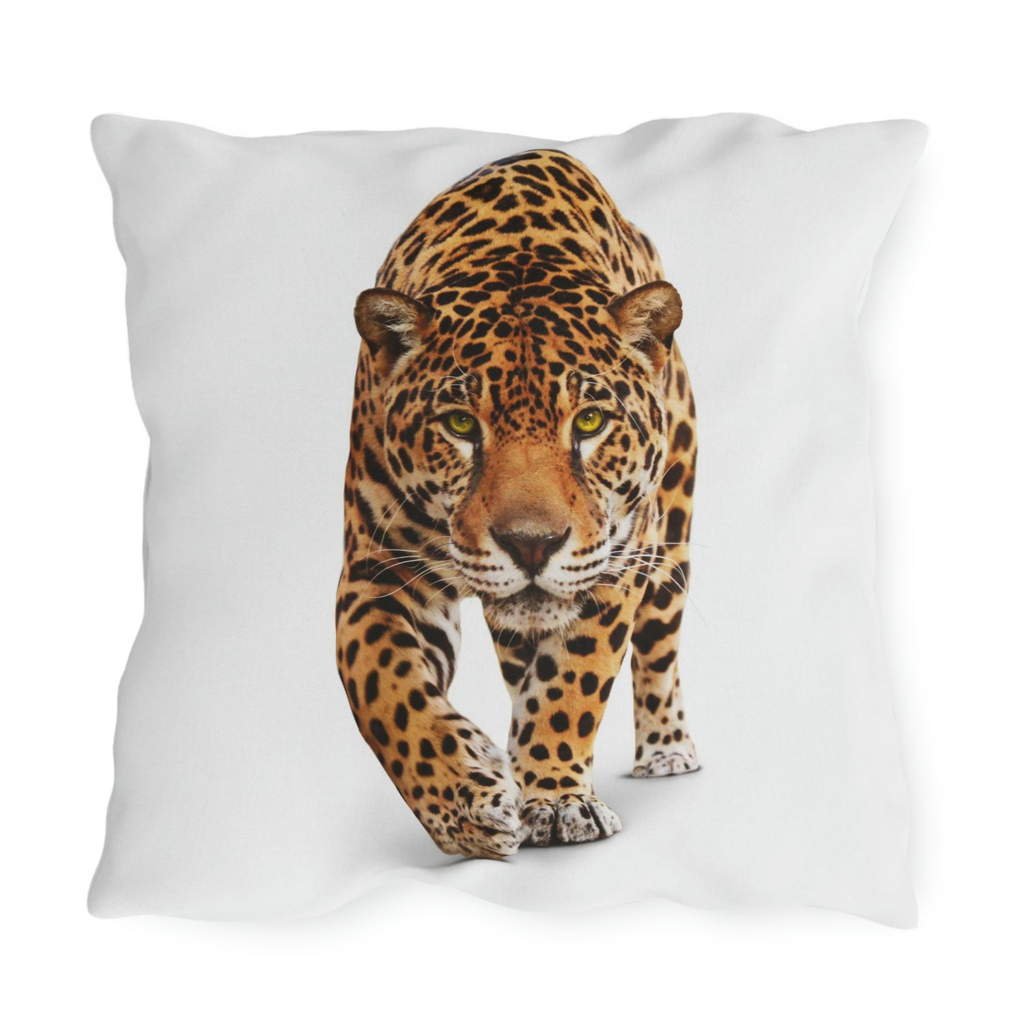 Cheetah Outdoor Pillows Relaxing in my Garden having Fun!